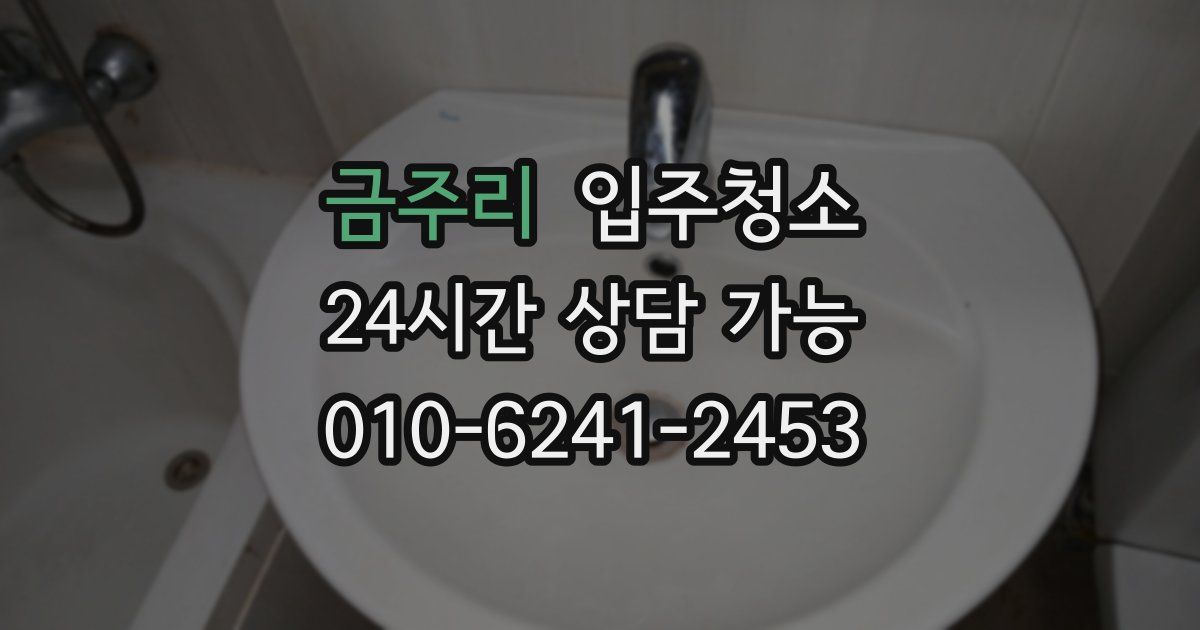 금주리 입주청소