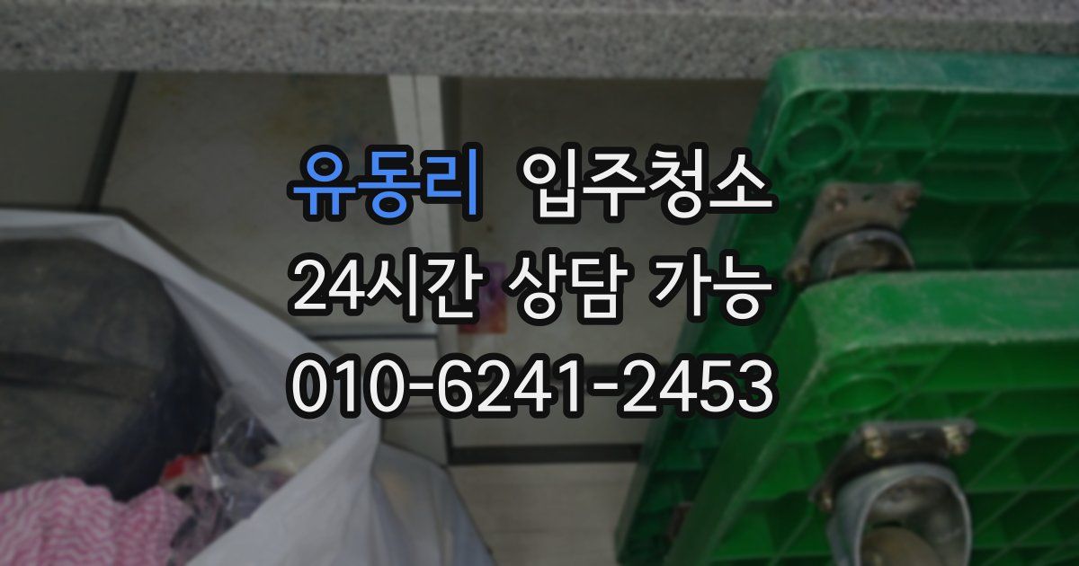 유동리 입주청소