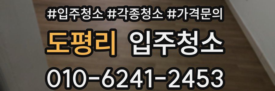 도평리 이사청소