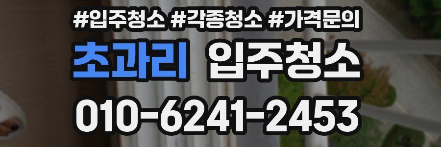 초과리 이사청소