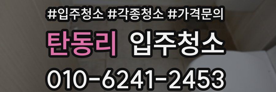 탄동리 이사청소