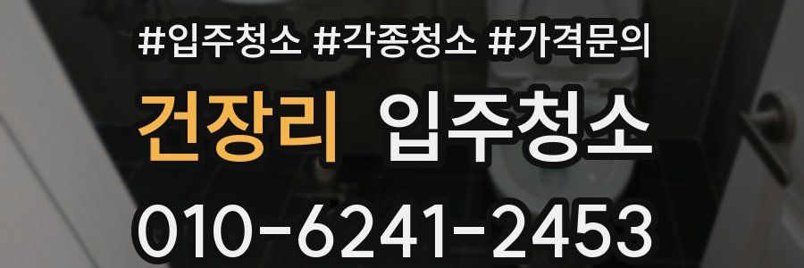 건장리 이사청소