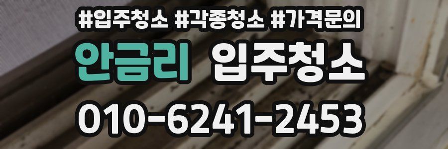안금리 이사청소
