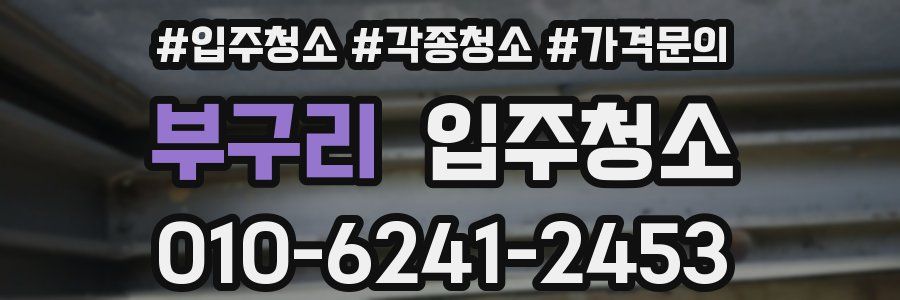 부구리 이사청소