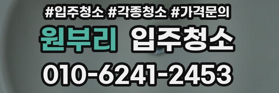 원부리 이사청소