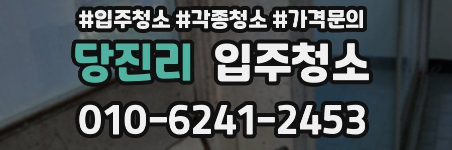 당진리 이사청소