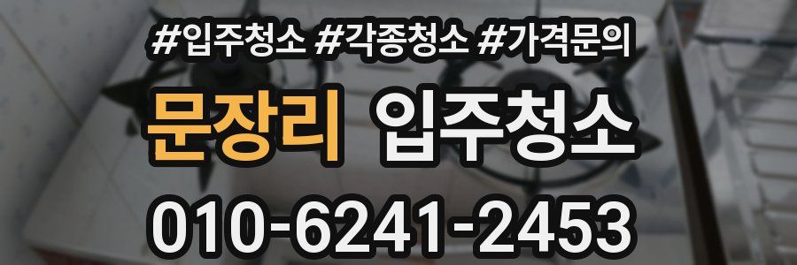 문장리 이사청소