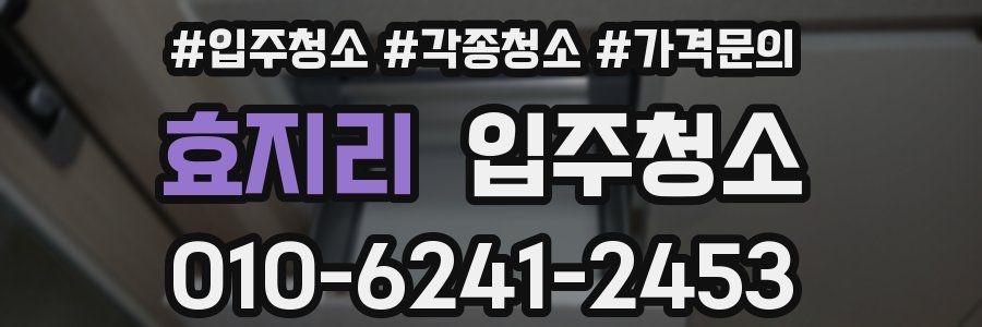 효지리 이사청소