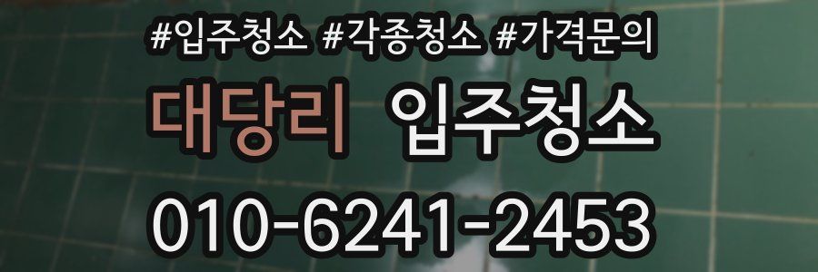 대당리 이사청소