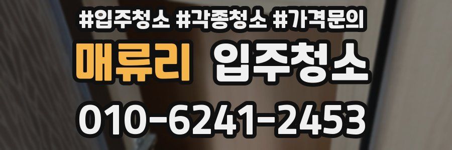 매류리 이사청소