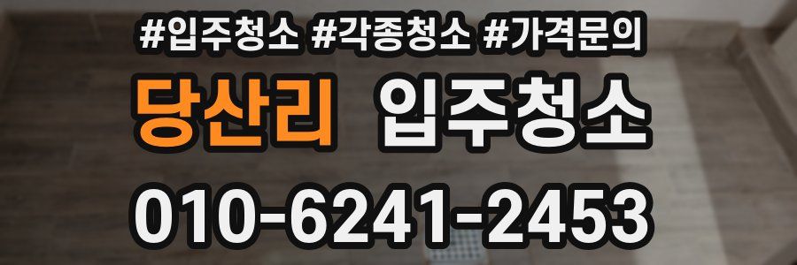 당산리 이사청소