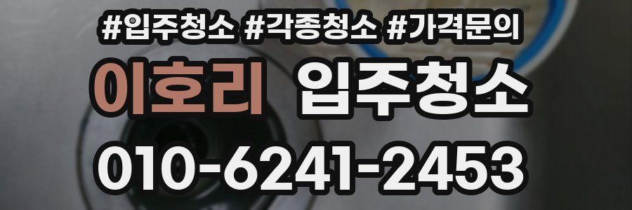 이호리 이사청소