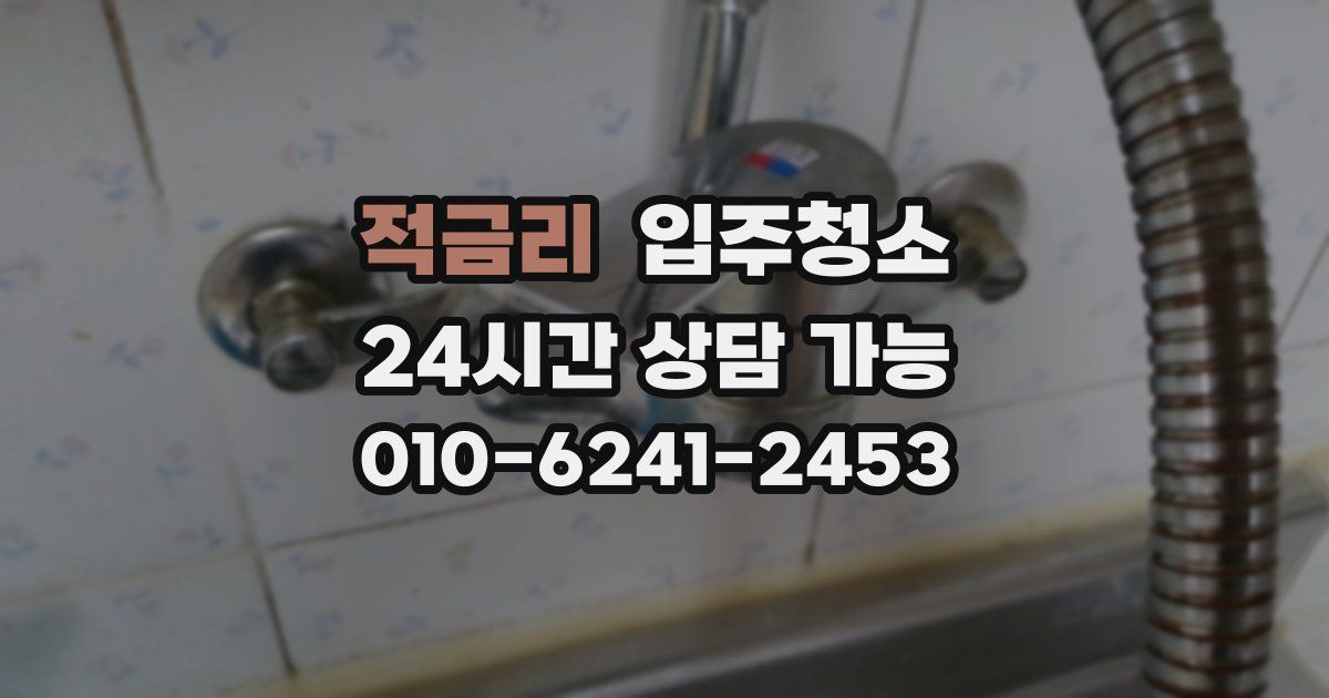 적금리 입주청소