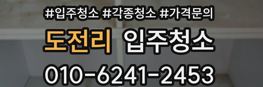 도전리 이사청소