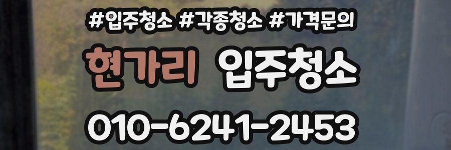 현가리 이사청소