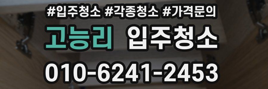 고능리 이사청소