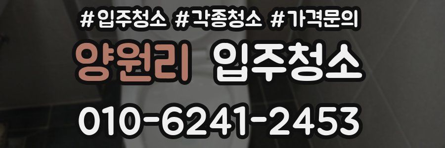 양원리 이사청소