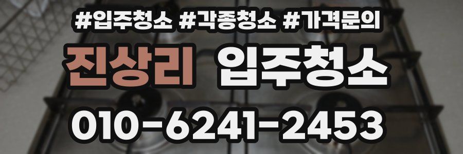 진상리 이사청소