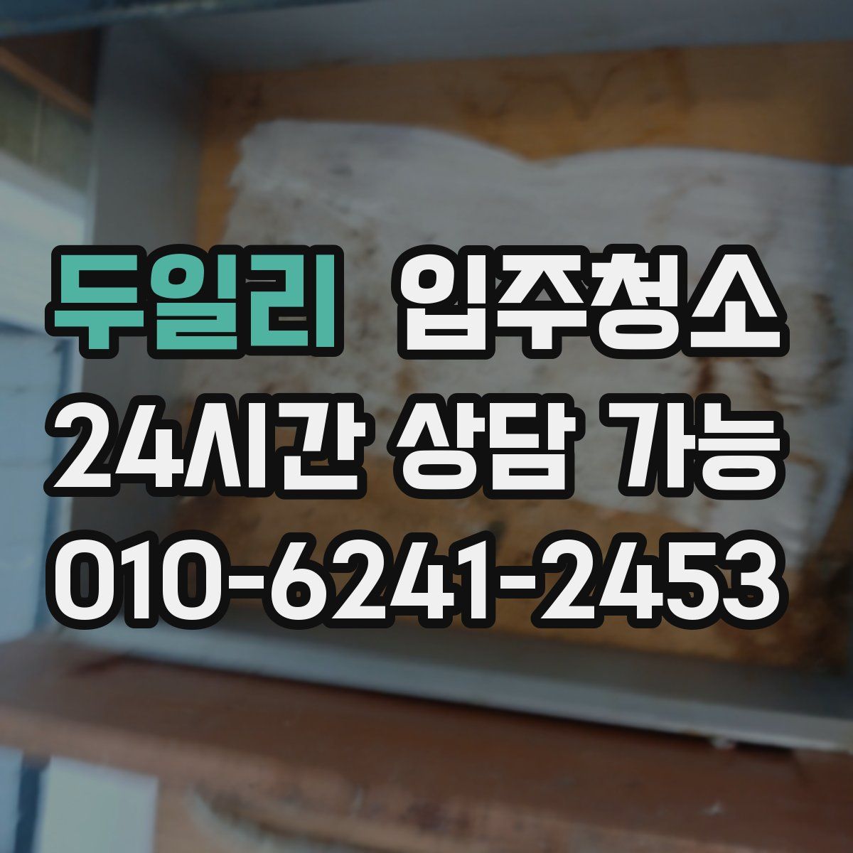 두일리 원룸청소