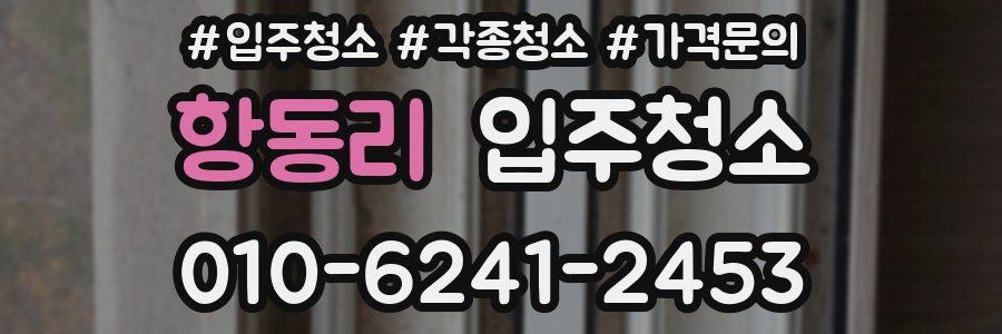 항동리 이사청소