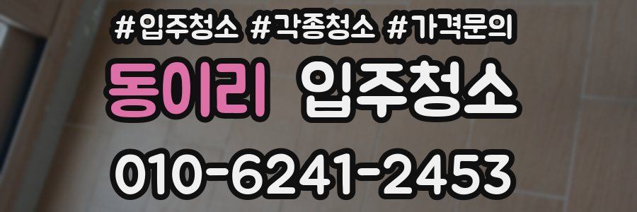 동이리 이사청소