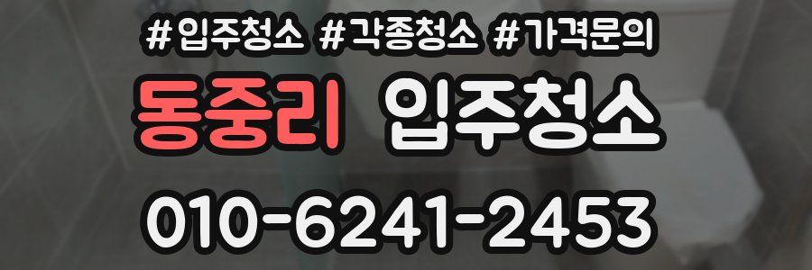 동중리 이사청소