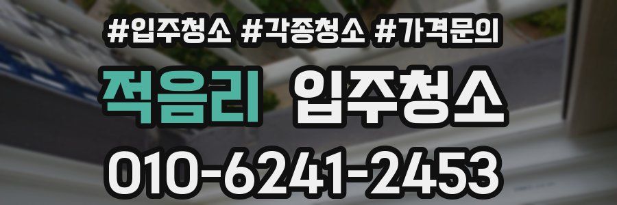 적음리 이사청소