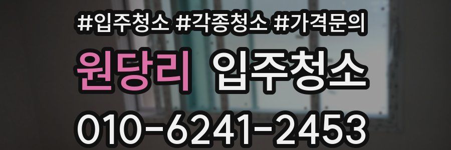 원당리 이사청소