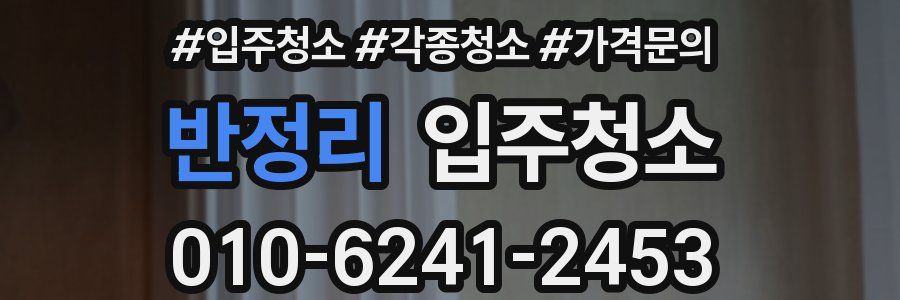 반정리 이사청소