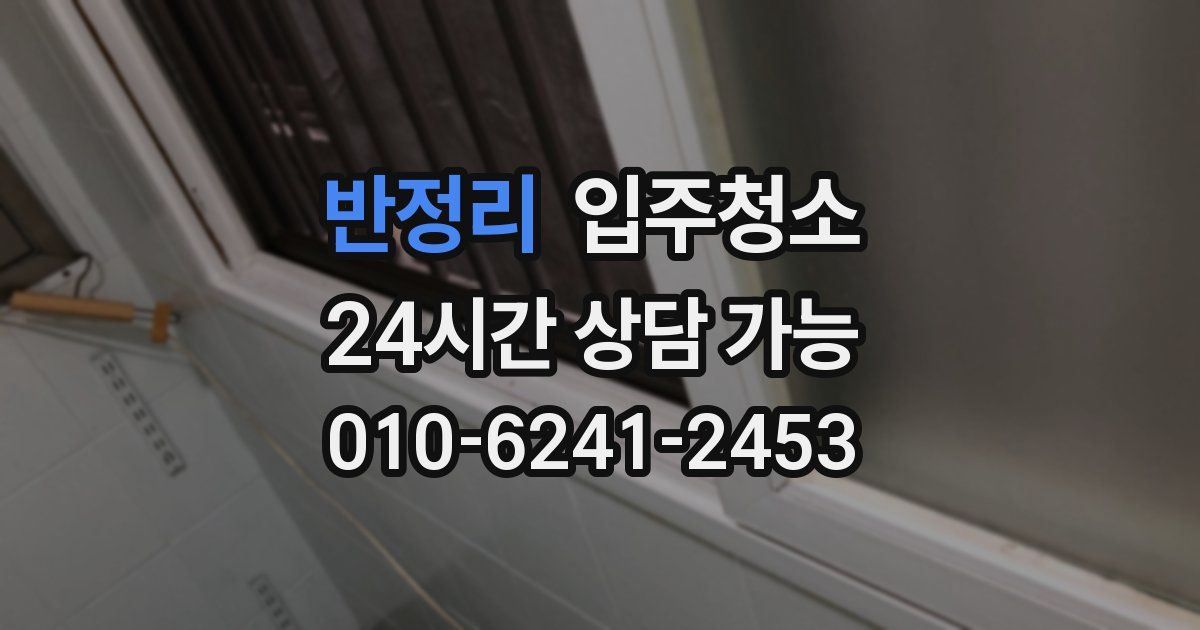 반정리 입주청소