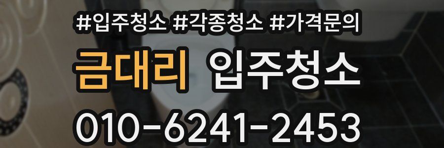 금대리 이사청소