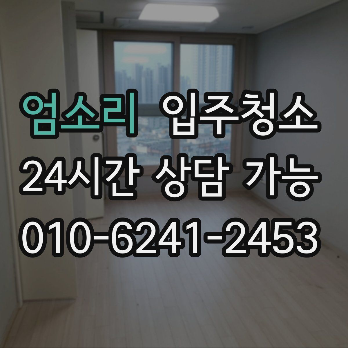 엄소리 원룸청소