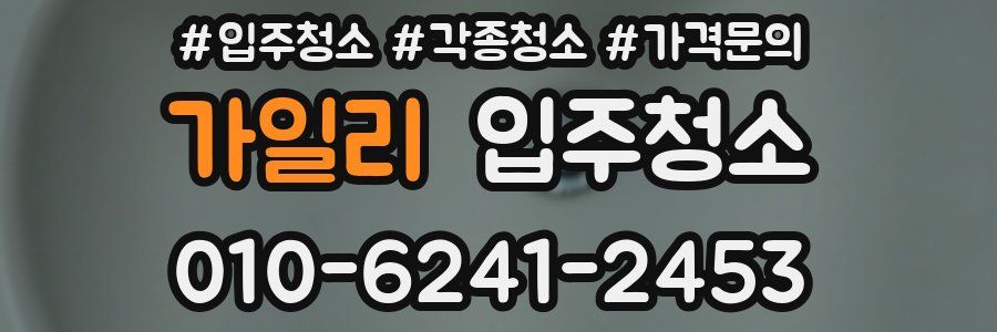 가일리 이사청소