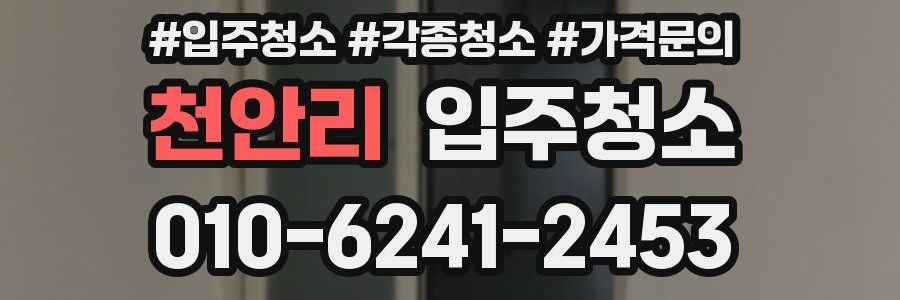 천안리 이사청소