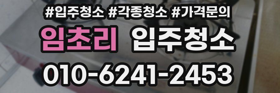 임초리 이사청소