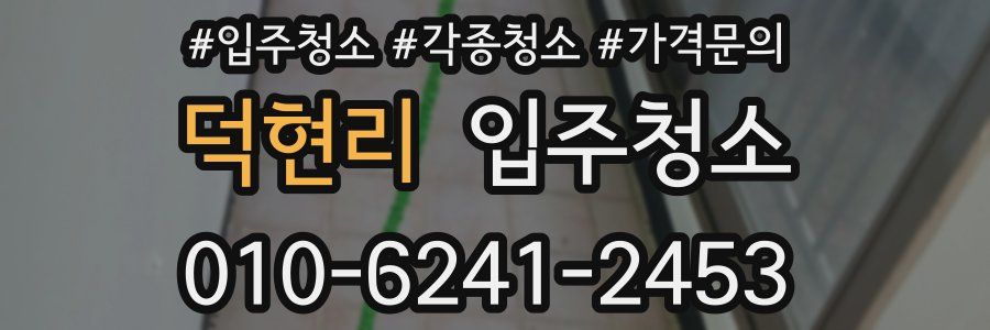 덕현리 이사청소