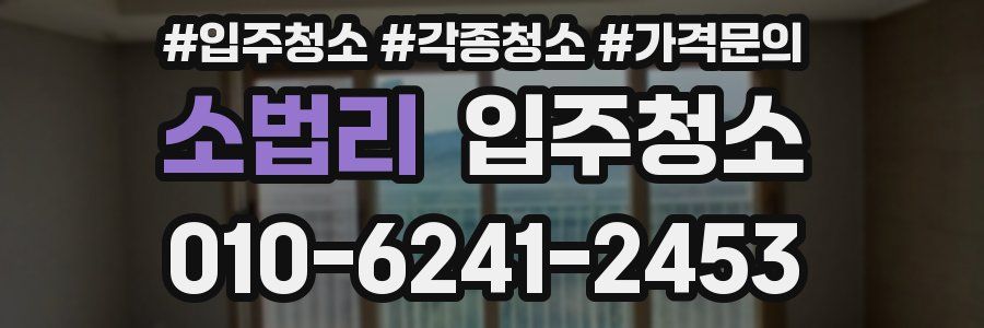 소법리 이사청소