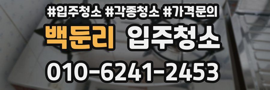 백둔리 이사청소