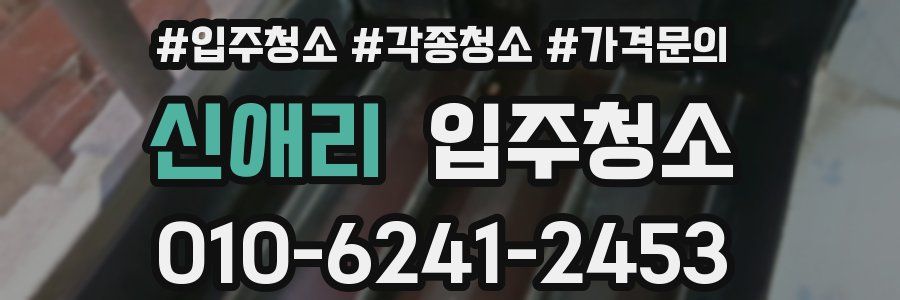 신애리 이사청소