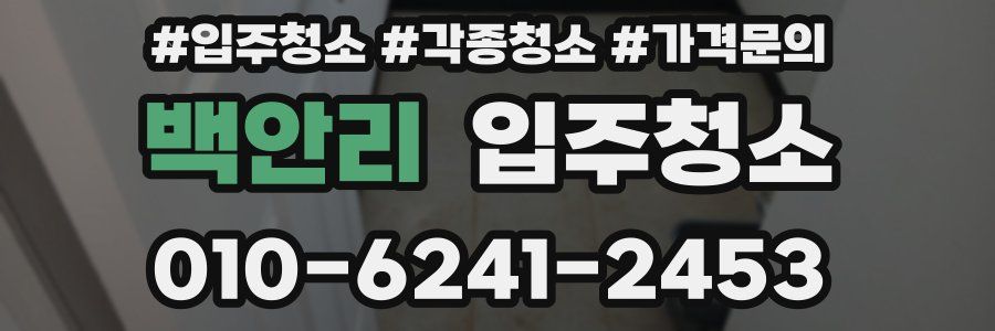 백안리 이사청소