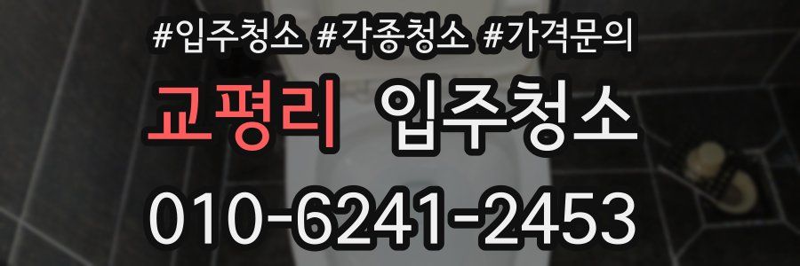 교평리 이사청소