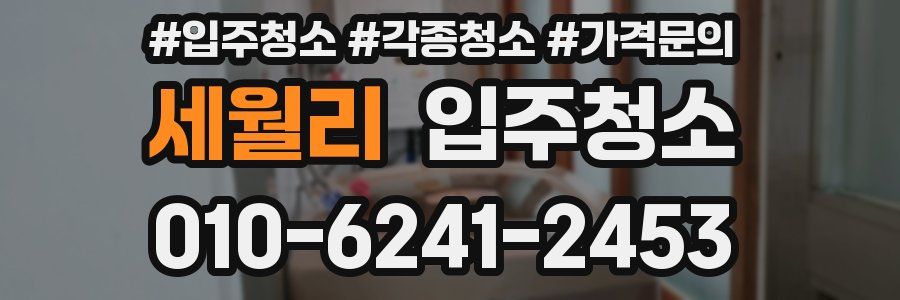 세월리 이사청소