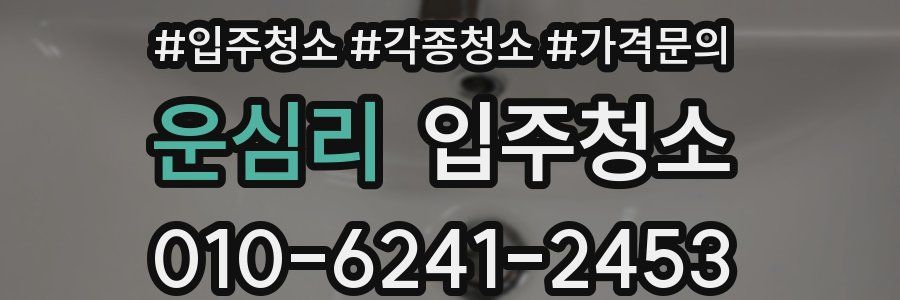 운심리 이사청소