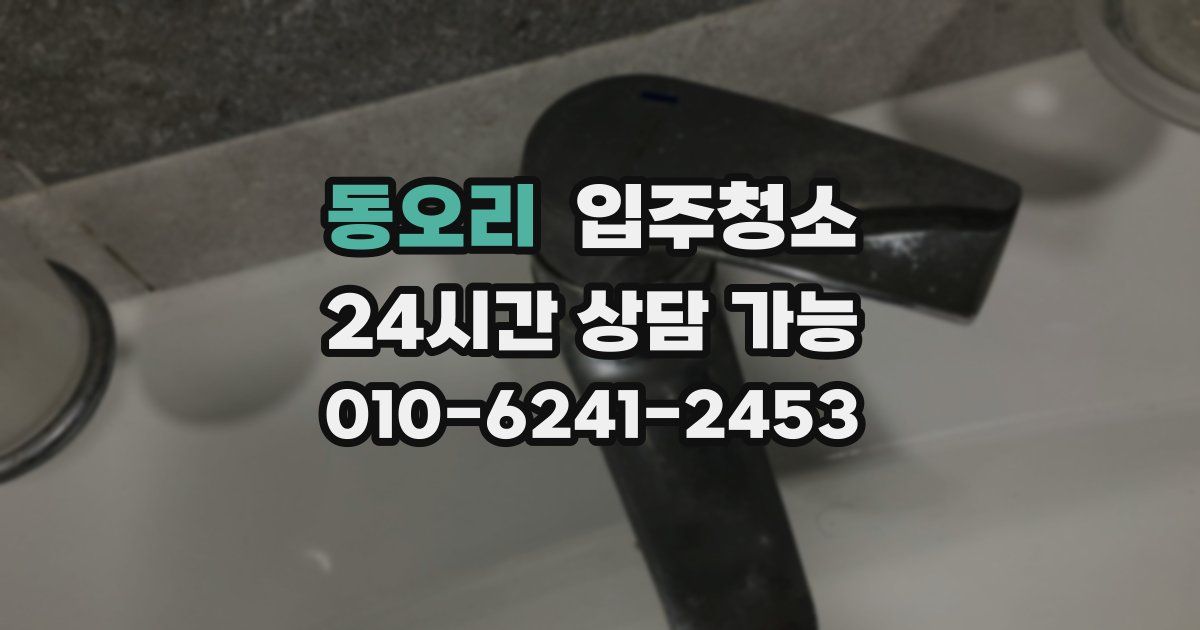 동오리 입주청소