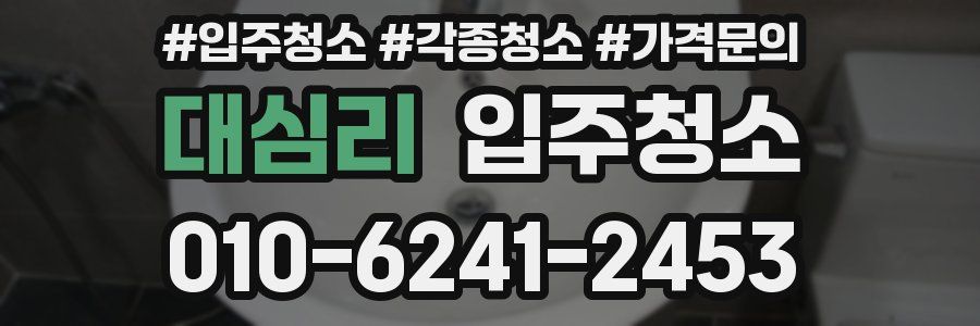 대심리 이사청소