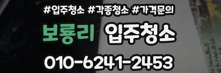 보룡리 이사청소