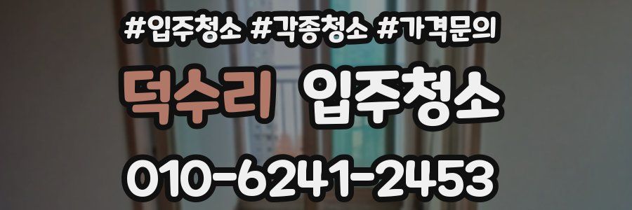 덕수리 이사청소