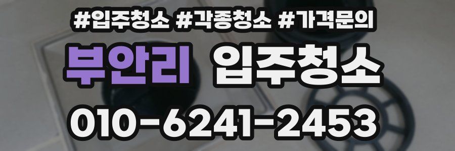 부안리 이사청소