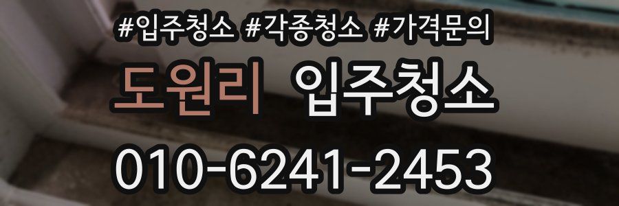 도원리 이사청소