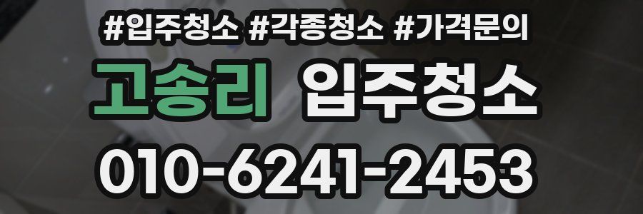 고송리 이사청소